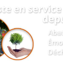 Au service de vos arbres