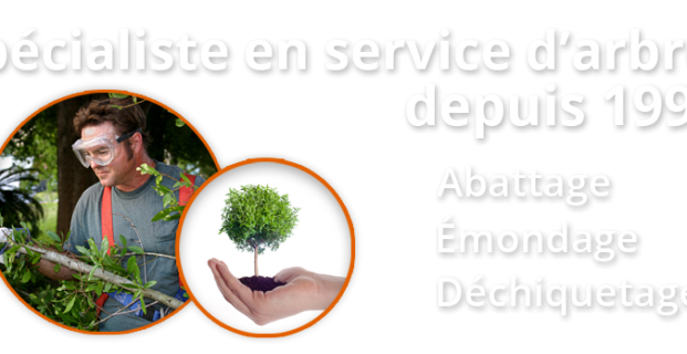 Au service de vos arbres