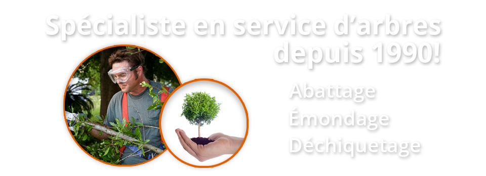 Au service de vos arbres