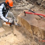 Déchiquetage de souche à Lévis - Arboritek M.A. Inc à Québec