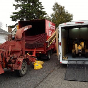 Service d'arbres (abattages arbres à Ste-Foy) - Arboritek M.A. Inc à Québec