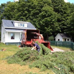 Déchiquetage d'arbre à Québec et déboisement à Québec (Émondage Québec) - Arboritek M.A. Inc à Québec