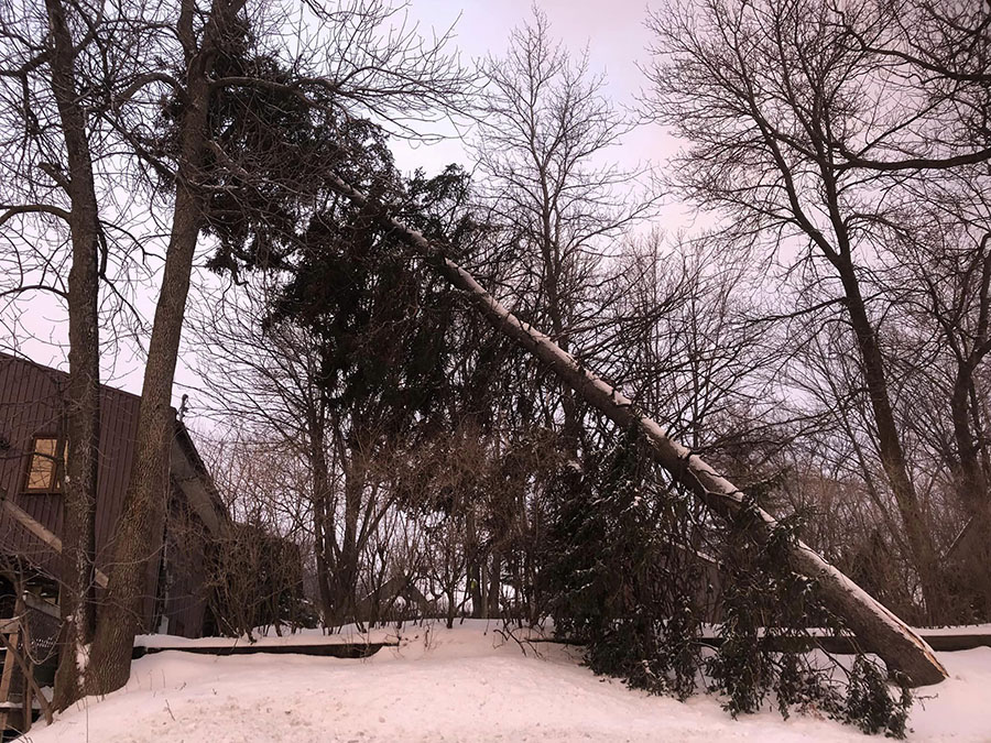 abattage d’arbre à Québec, Charlesbourg, Beauport, Sainte-Foy, Sainte-Anne-De-Beaupré, Saint-Roch, ... et ses environs / Arboritek de Québec