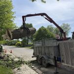 Service d'abattage d'arbre dans la ville de Lebourgneuf au Québec - Arboritek M.A inc