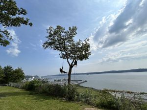Service d'émondage d'arbre dans la ville de Mont-calm au Québec - Arboritek M.A inc